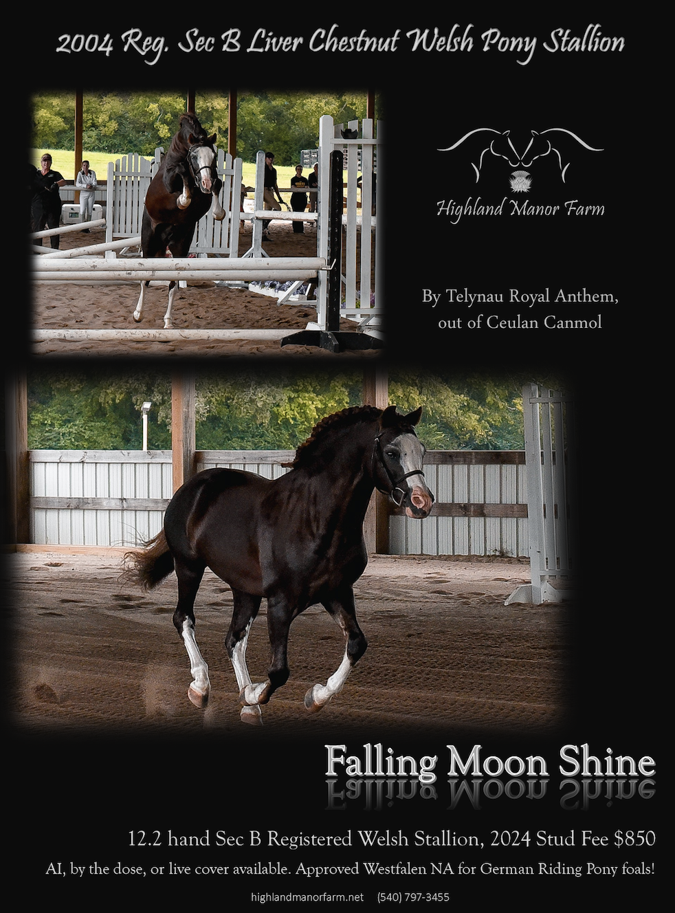 Falling Moon Shine