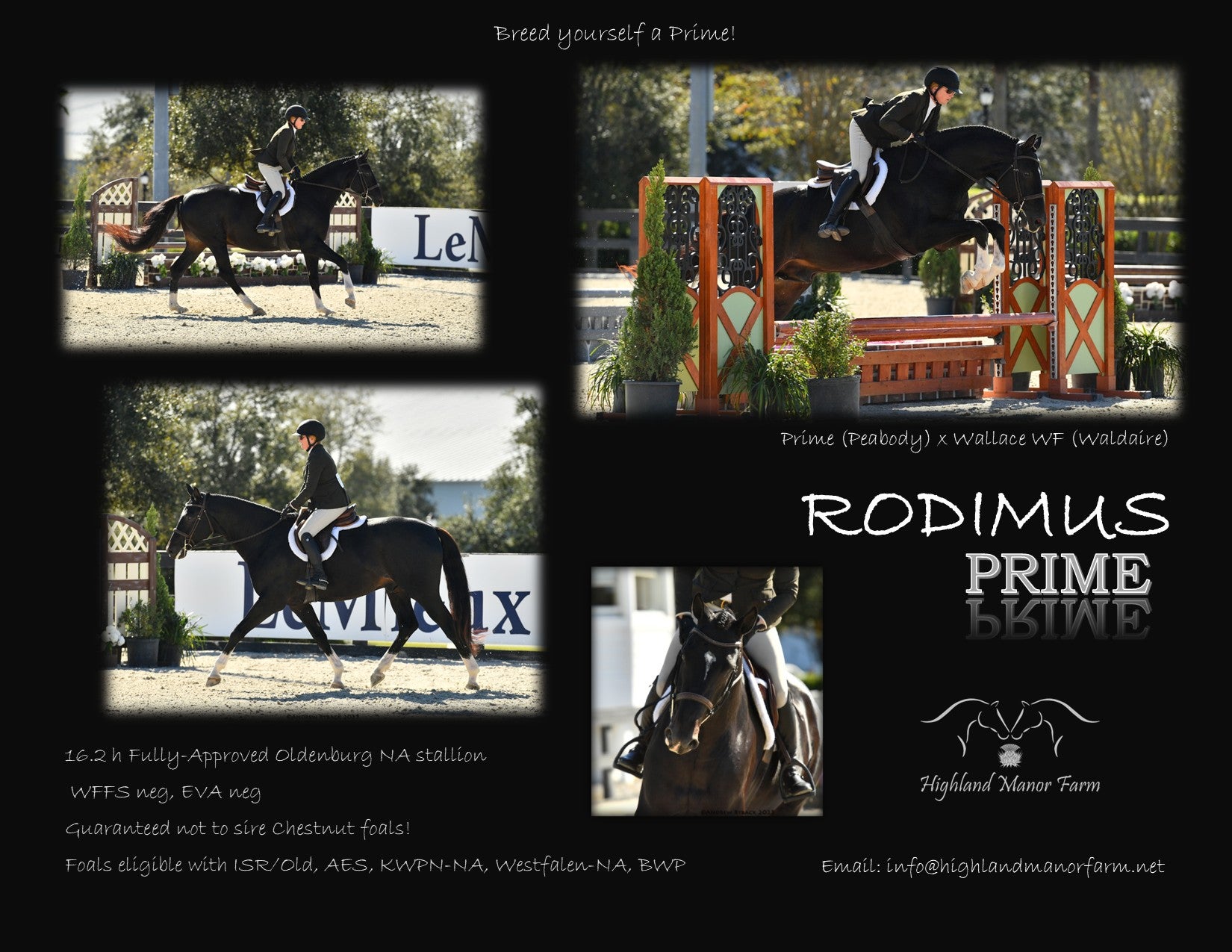 Rodimus Prime Rodimus Prime