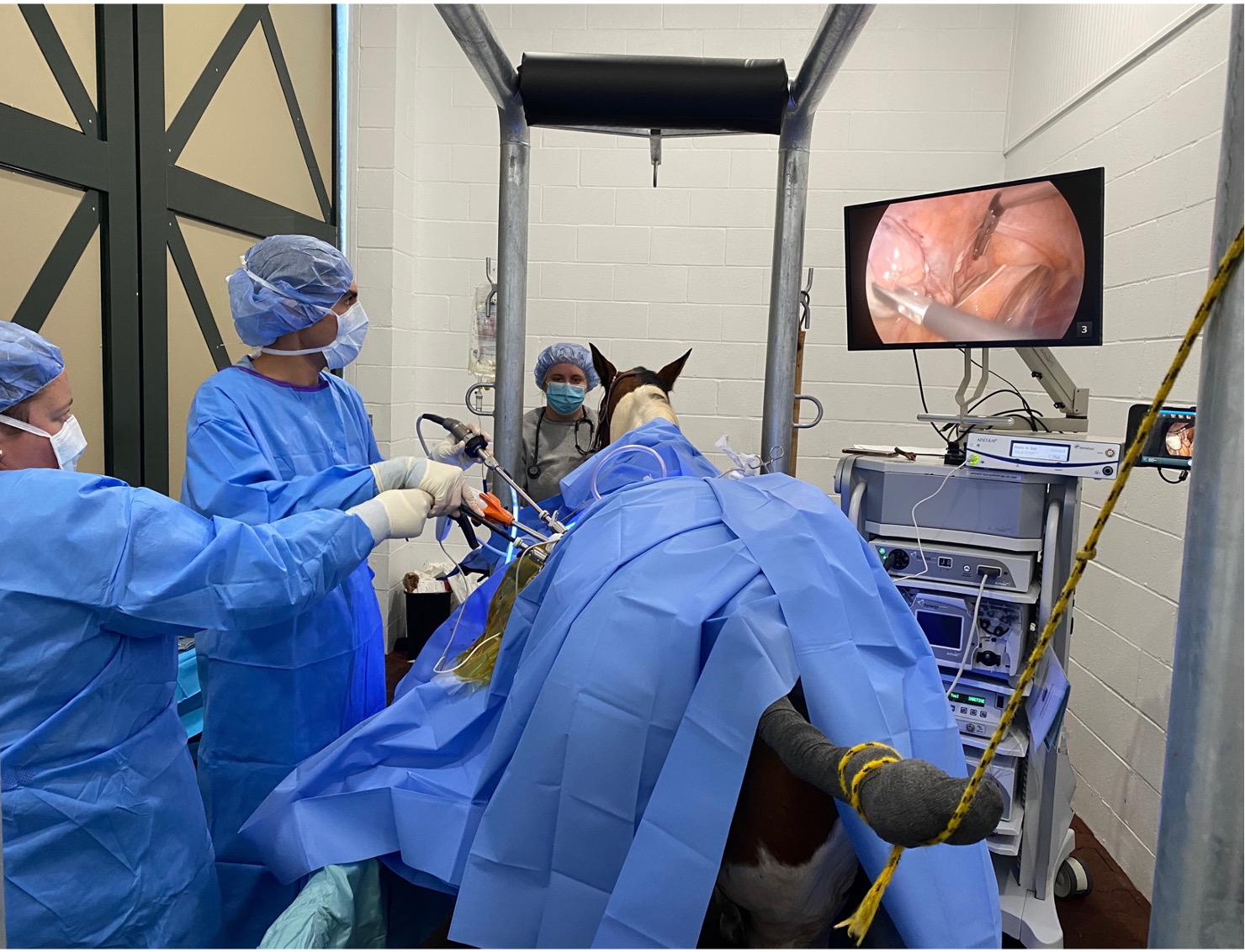 Dr. Alvaro Bonilla Performing Laparscopic Surgery