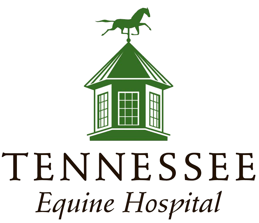 Tennessee Equine Hospital North | Tennessee Equine Hospital