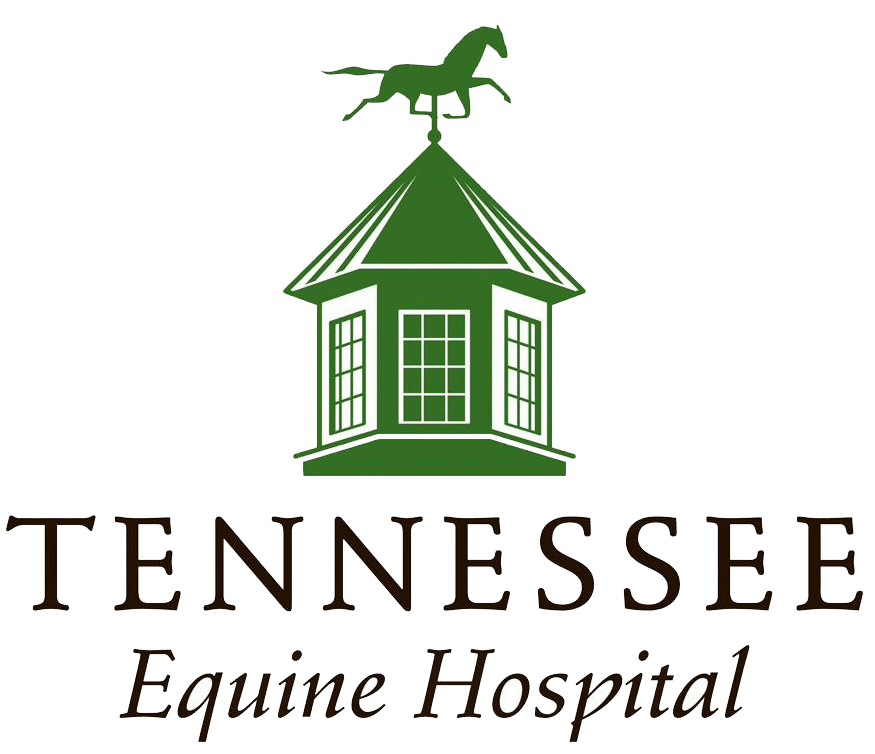 Tennessee Equine Hospital North | Tennessee Equine Hospital Tennessee Equine Hospital North | Tennessee Equine Hospital